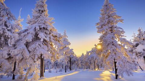 الطبيعة في فصل الشتاء