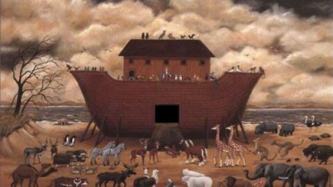 عمل نوح عليه السلام