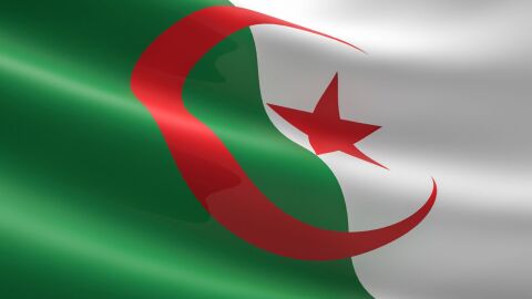 شعر عن الجزائر