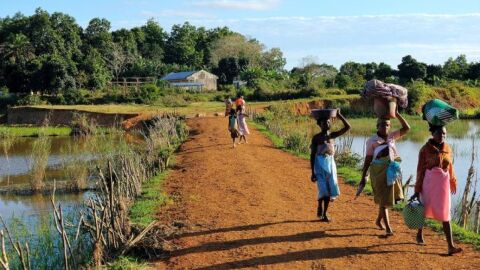 سكان جزيرة مدغشقر