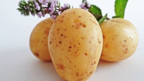 فوائد البطاطا للبشرة
