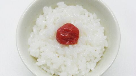 الأرز للرضع