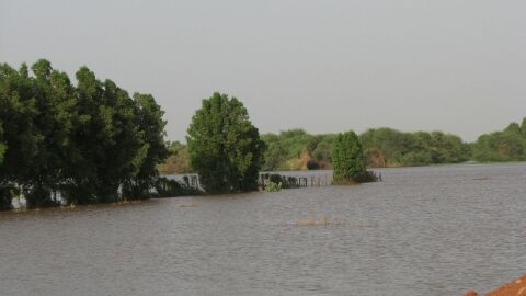 جزيرة صاي في السودان