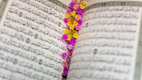 بحث عن آية في القرآن