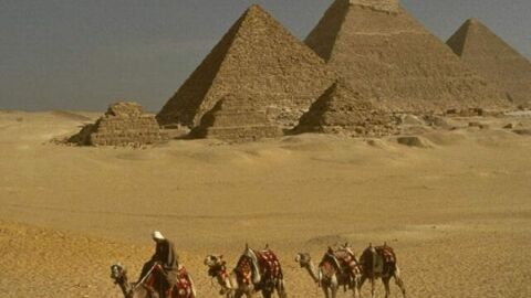 بحث عن مصر