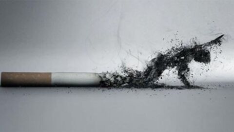 بحث عن التدخين وأضراره