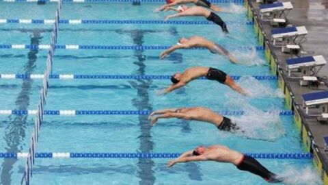 بحث عن رياضة السباحة