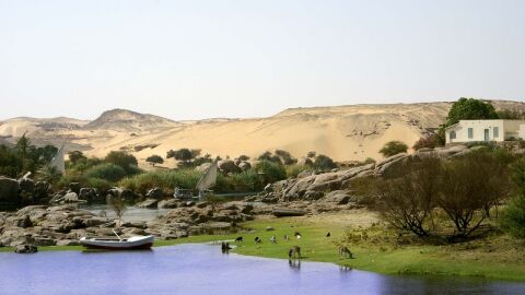 بحث عن حوض النيل