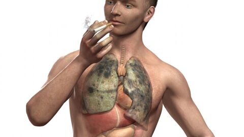 التدخين وأضراره على الصحة