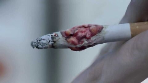 أضرار التدخين على الجسم