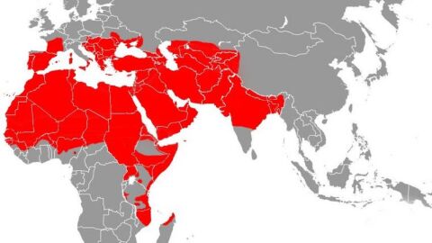 مراحل تشكل العالم الإسلامي