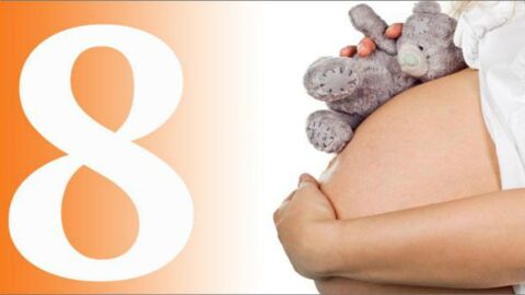 مراحل تطور الجنين في الشهر الثامن
