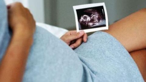 مراحل نمو الجنين في الأسبوع الثالث عشر