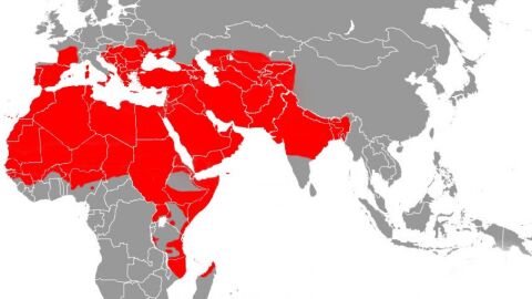 مراحل قيام الدولة الإسلامية في عهد الرسول