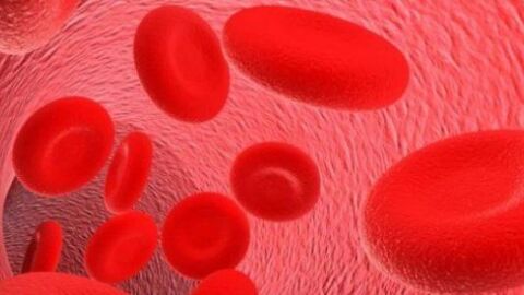 أعراض نقص هيموجلوبين الدم