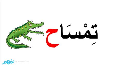 تعليم اللغة العربية للصف الأول الابتدائي