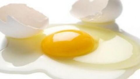 فائدة بياض البيض للشعر