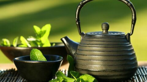 فوائد الشاي الأخضر المجفف