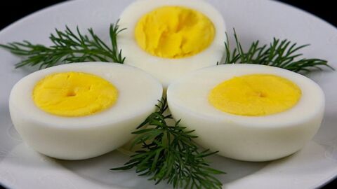 فوائد بياض البيض لكمال الأجسام