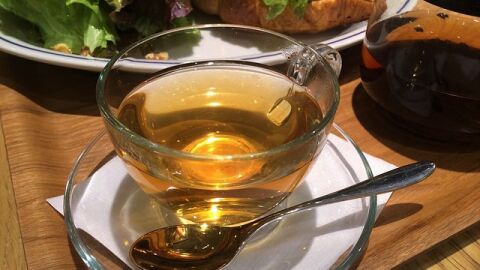 فوائد الشاي الأخضر للمسالك البولية