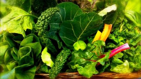 فوائد الخضروات الورقية