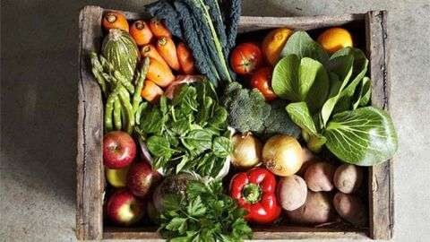 فوائد الخضروات والفواكه بشكل عام
