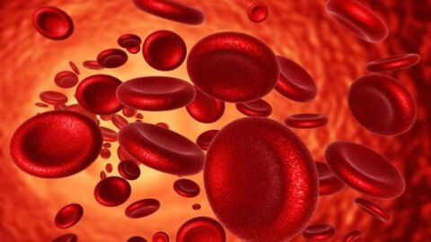 سبب زيادة الهيموجلوبين في الدم