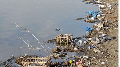 أسباب تلوث مياه النيل