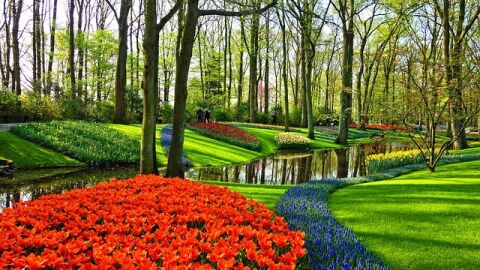 مدينة الورود في هولندا
