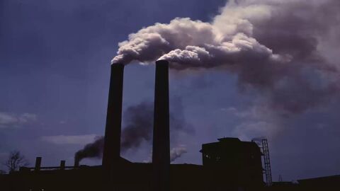مفهوم التلوث وأنواعه