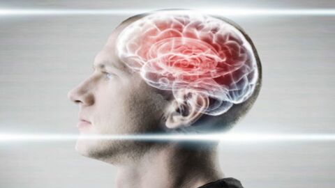 الفرق بين المخ والعقل
