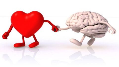 الفرق بين القلب والعقل