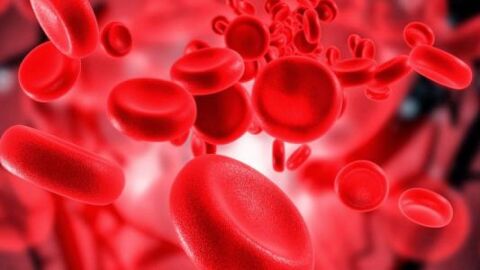 تأثير نقص الحديد في الدم