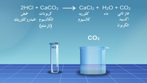 معادلة تفاعل الصوديوم مع الماء