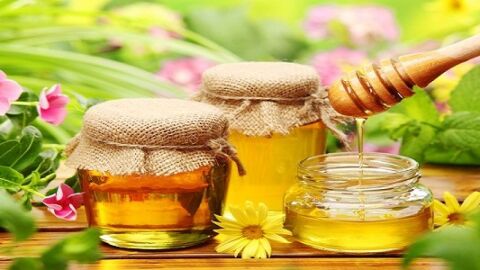 أهمية العسل