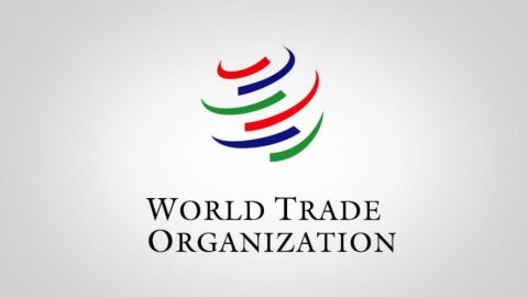 أهمية التجارة الدولية