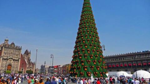 أكبر شجرة عيد ميلاد في العالم