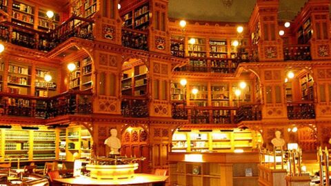 أكبر مكتبة في العالم