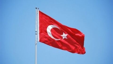 معنى علم تونس
