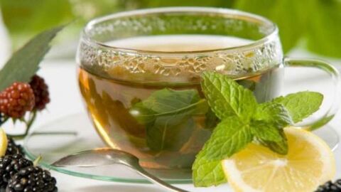 أهم فوائد الشاي الأخضر