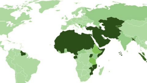 عدد دول العالم الإسلامي