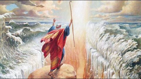عدد معجزات النبي موسى