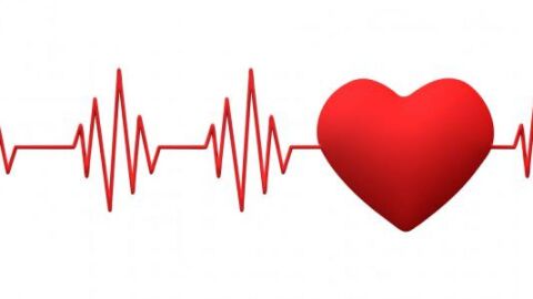 عدد ضربات القلب الطبيعية