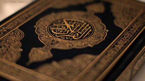 عدد أجزاء القرآن