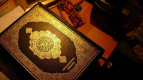 عدد السجدات فى القرآن