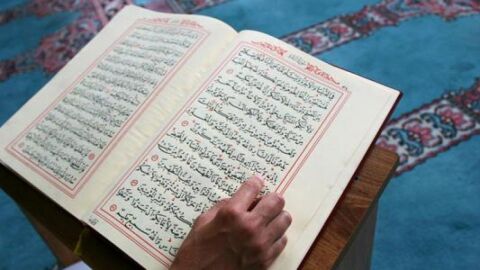 عدد سجدات التلاوة في القرآن الكريم
