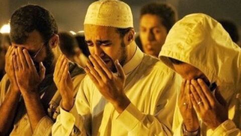 عدد ركعات التراويح في رمضان