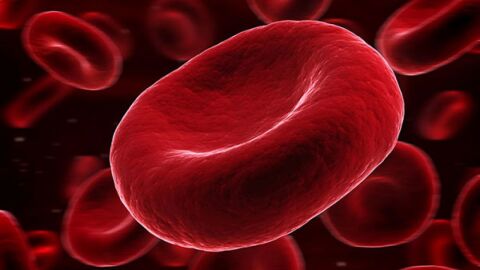 عدد خلايا الدم الحمراء