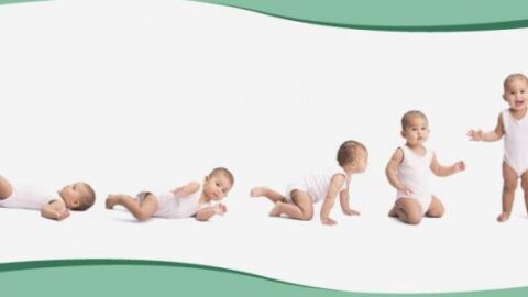 مراحل النمو عند الطفل الرضيع