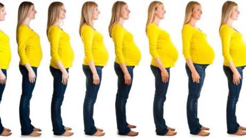 مراحل الحمل من الشهر الأول إلى التاسع